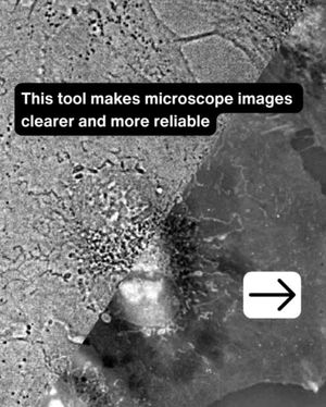 Image post by @biohub on Instagram