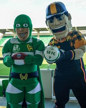 Image post by @steelersireland on Instagram