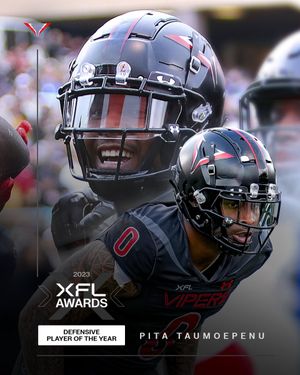 Image post by @XFLVipers on Twitter