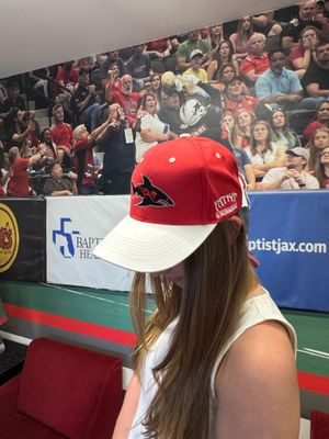 Image post by @jaxsharks on Instagram