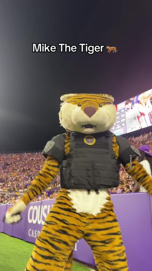 Video post by @konnxct on TikTok