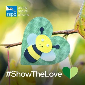 Image post by @rspb on Instagram