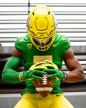 Image post by @goducks on Instagram