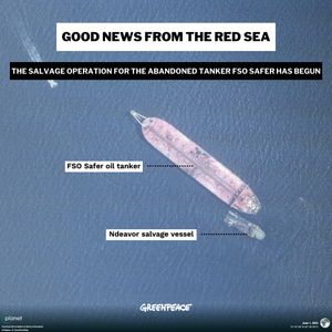 Image post by @greenpeace on Instagram