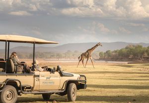 Image post by @chiawasafaris on Instagram