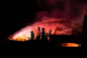 Image post by @ariannagrainey on Instagram