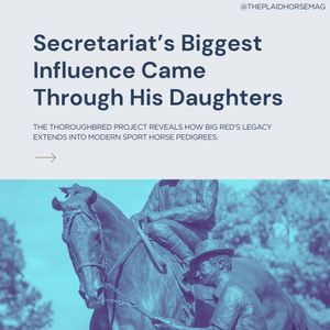 Image post by @theplaidhorsemag on Instagram
