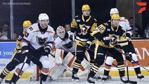 Video post by @flohockey on YouTube