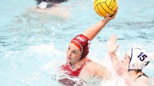 Image post by @IndianaWPolo on Twitter
