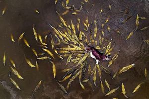 Image post by @droneartgallery on Instagram