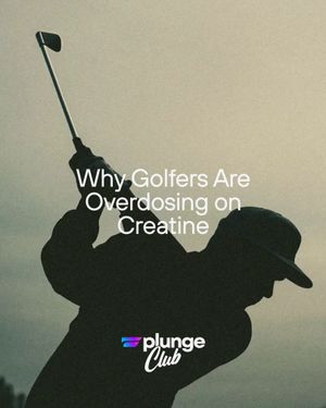 Image post by @plunge on Instagram