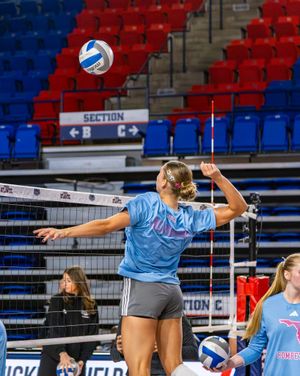 Image post by @fauvolleyball on Instagram