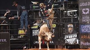 Video post by @pbr on YouTube