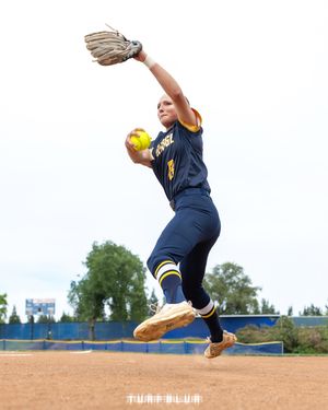 Image post by @turfblur on Instagram