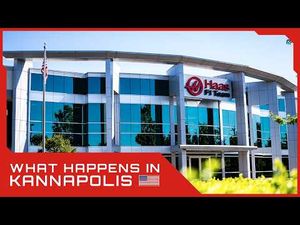 Video post by @MoneyGram Haas F1 Team on YouTube