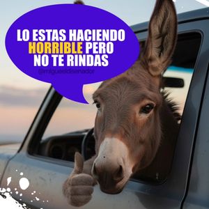 Image post by @migueeldisenador on Instagram