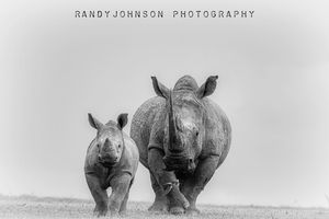 Image post by @rj51photos on Instagram
