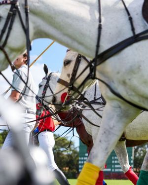 Image post by @uspoloassn on Instagram
