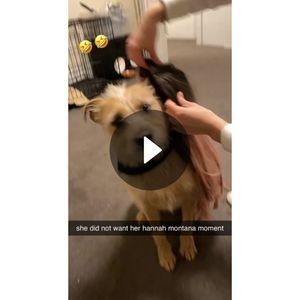 Video post by @anawigmore on Snapchat