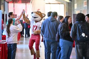 Image post by @wsupullman on Instagram