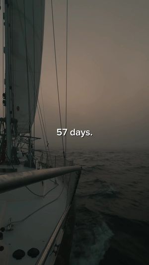 Video post by @sailing_with_phoenix on TikTok