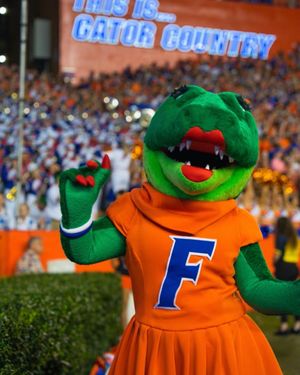Image post by @albertathegator on Instagram