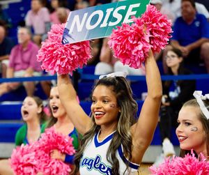 Image post by @fgcu_cheer on Instagram