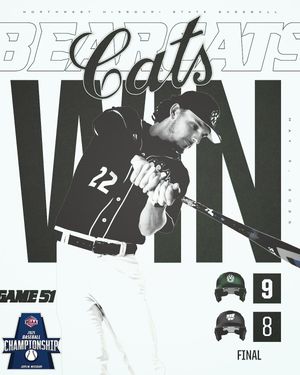 Image post by @nwbearcat_bsb on Instagram