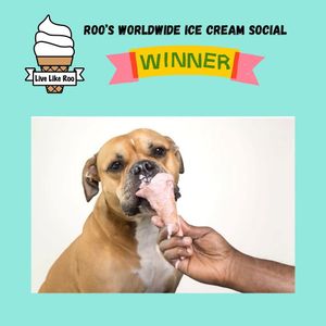 Image post by @livelikeroofoundation on Instagram