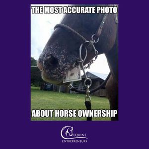 Image post by @equine_entrepreneurs_ on Instagram