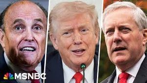 Video post by @msnbc on YouTube