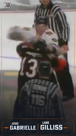 Image post by @hockeyfights on Instagram