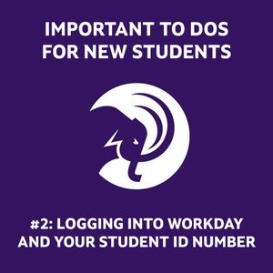 Image post by @amherststudentaffairs on Instagram