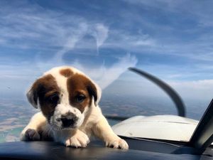 Image post by @foreflight on Instagram