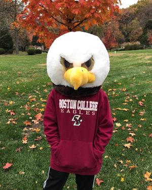 Image post by @bc_admission on Instagram