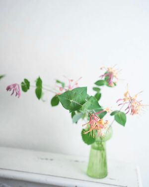 Image post by @kaho_flowerdesigner on Instagram