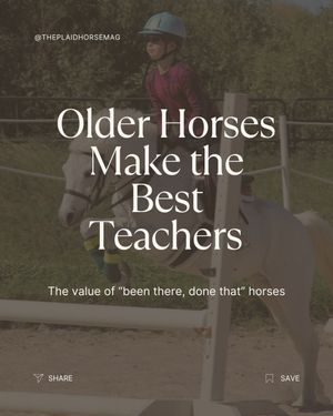Image post by @theplaidhorsemag on Instagram