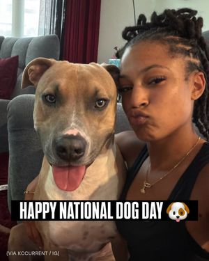 Image post by @ionnwsl on Instagram