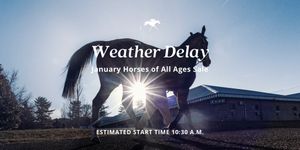 Image post by @keenelandsales on Twitter