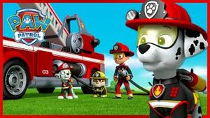 Video post by @pawpatrolofficial on YouTube
