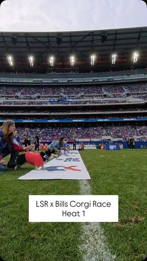 Video post by @littlestumpsracing1 on Facebook