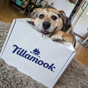 Image post by @Tillamook County Creamery Association on Facebook