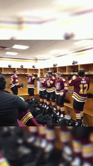 Video post by @chiwolves on TikTok
