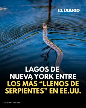 Image post by @eldiariony on Instagram