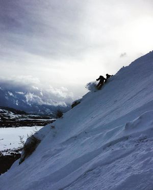 Image post by @uvm_ssc on Instagram