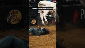 Video post by @pbr on YouTube