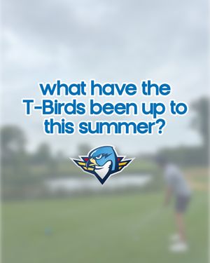 Image post by @thunderbirdsahl on Instagram