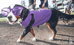 Image post by @rockies on Instagram