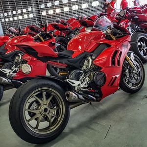 Image post by @panigalers on Instagram