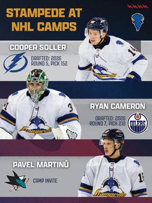 Image post by @sfstampede on Instagram